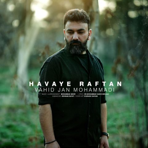 وحید جان محمدی
